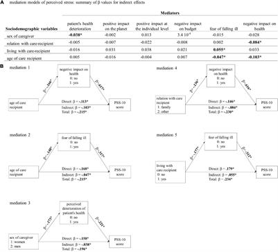 Ability to Care for an Ill Loved One During the First COVID-19 Lockdown: Mediators of Informal Caregivers’ Stress in Europe